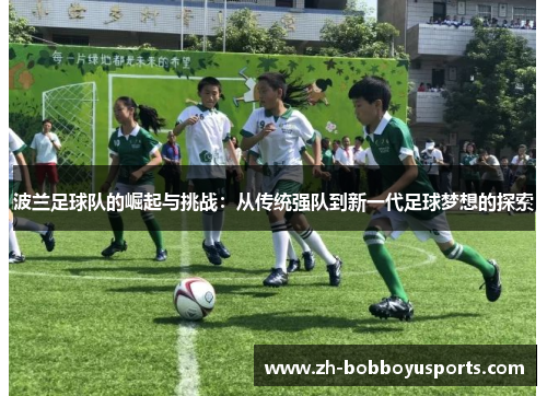 波兰足球队的崛起与挑战：从传统强队到新一代足球梦想的探索