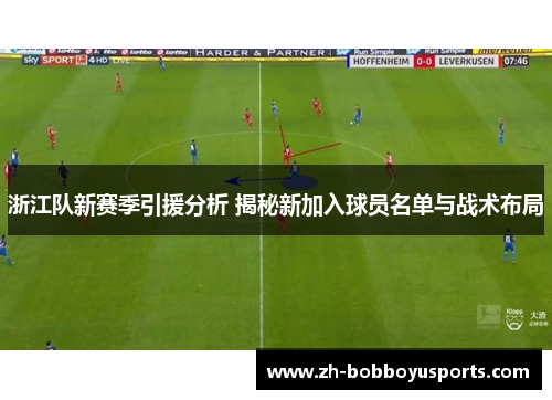 浙江队新赛季引援分析 揭秘新加入球员名单与战术布局