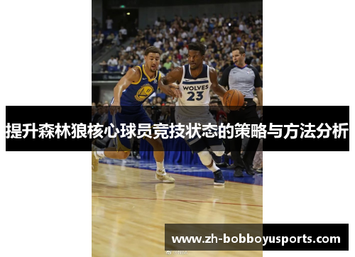 提升森林狼核心球员竞技状态的策略与方法分析