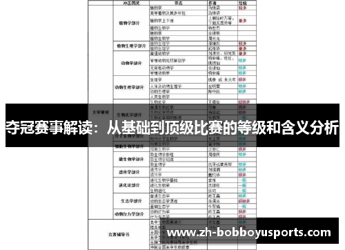 夺冠赛事解读：从基础到顶级比赛的等级和含义分析